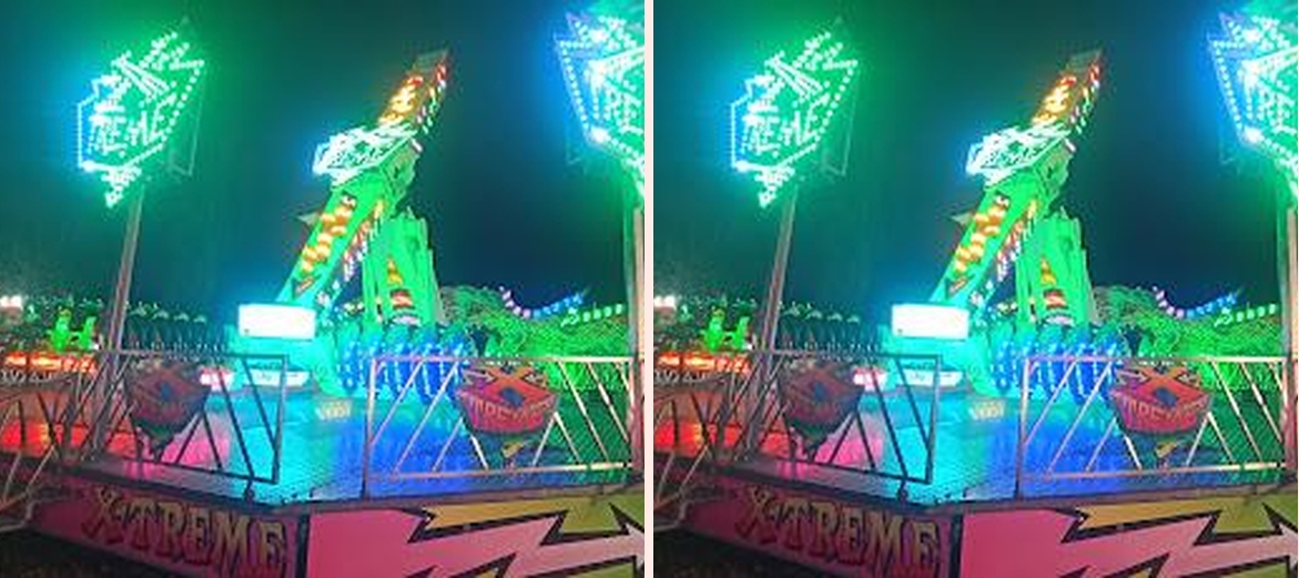 Foire saint Martin (855) - Photo 1